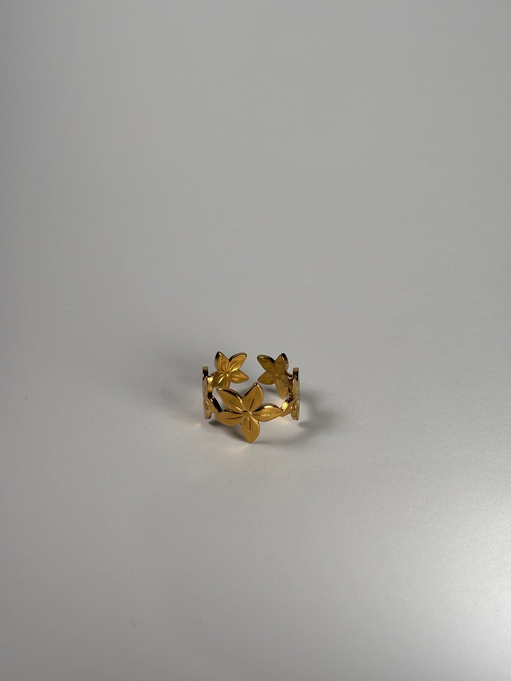 Anello Corona